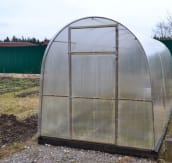 Теплицы